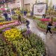 Flower Show: a Philadelphia la primavera arriva prima