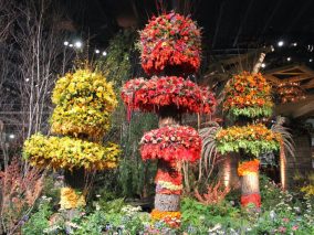 Flower Show: a Philadelphia la primavera arriva prima
