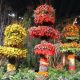 Flower Show: a Philadelphia la primavera arriva prima