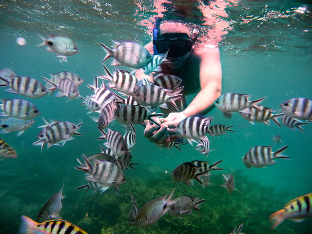 Mauritius in crescita: +8,7% di italiani nel primo bimestre