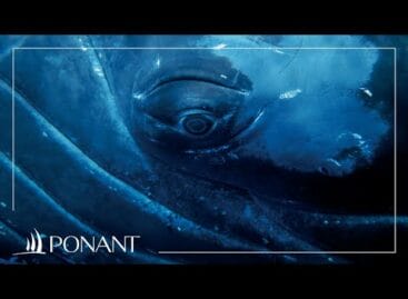 Lounge sottomarina sulle navi Ponant: si chiamerà Blue Eye