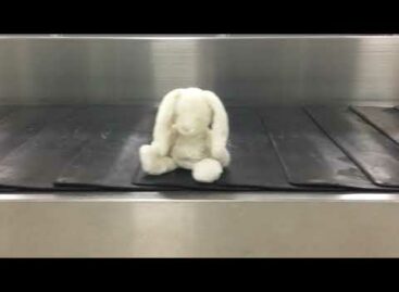 Addio peluche smarriti in volo: a Glasgow arriva il check in dedicato