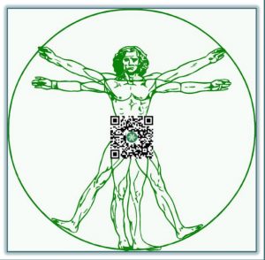 uomo vitruviano advmanager scotti