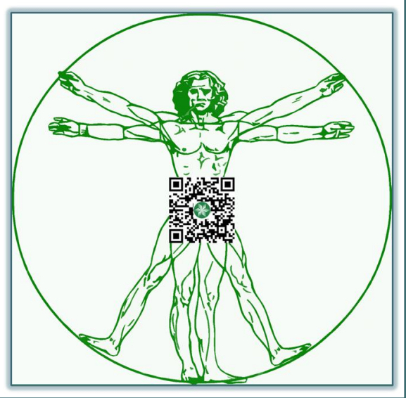 uomo vitruviano advmanager scotti