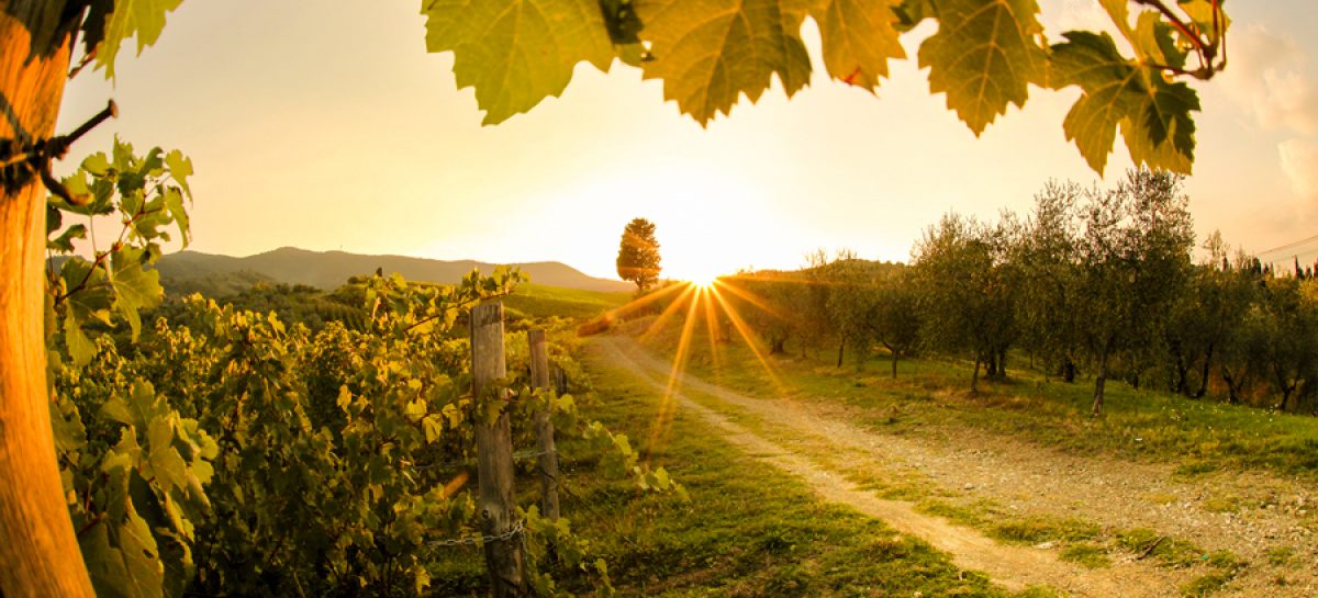 La Toscana si promuove tra enogastronomia, cammini e wedding