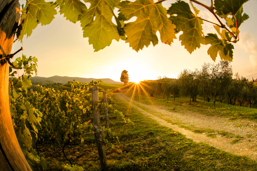 La Toscana si promuove tra enogastronomia, cammini e wedding