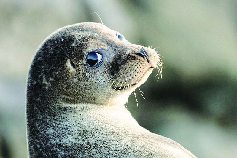 Cipro, l’isola di Afrodite tra leggenda e storia