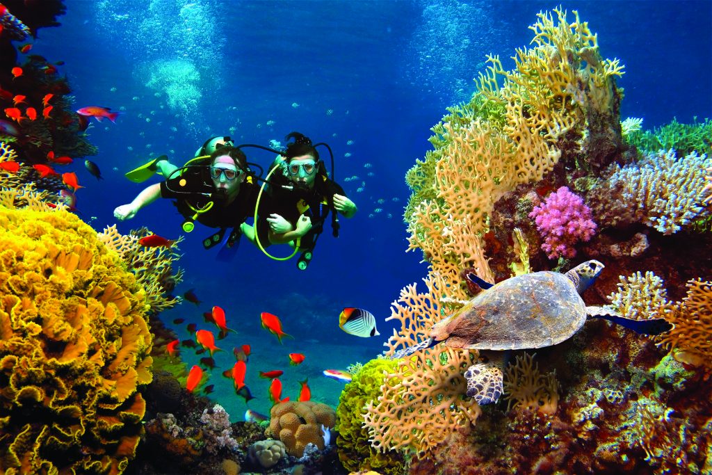 Egitto Expert/5, turismo attivo tra mare e deserto