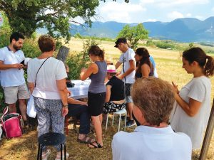 Pranzo vigneto Verdicchio