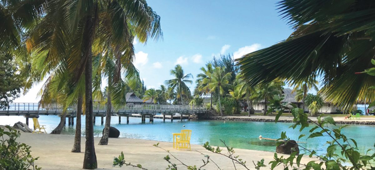 Tahiti pubblica la roadmap 2027 e punta sul green e l’inclusione