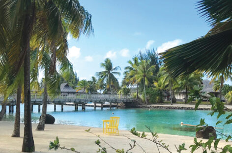 Tahiti pubblica la roadmap 2027 e punta sul green e l’inclusione