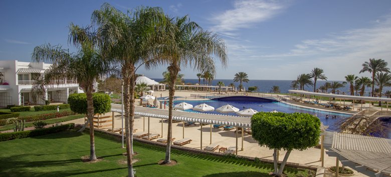 Nicolaus svela  i suoi tre club sul Mar Rosso