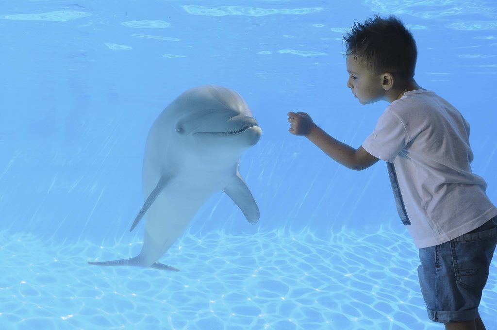 Zoomarine, il direttore artistico è Claudio Cecchetto