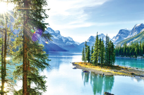 Canada Experience, estate tra parchi e orsi polari