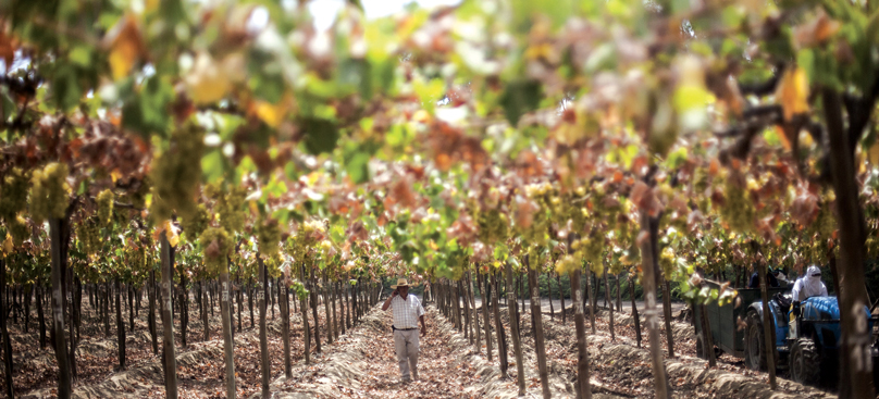 Paesi del mondo, viaggio tra gli stand di Bit