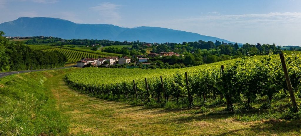 Food Travel, trend e sfide del turismo enogastronomico