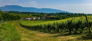 turismo enogastronomico