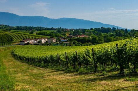 Veneto, oltre 17 milioni di arrivi in nove mesi. E tornano gli americani