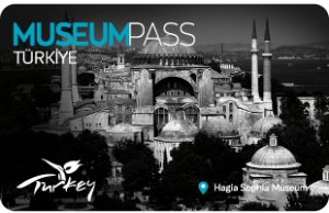 Museum Pass Card