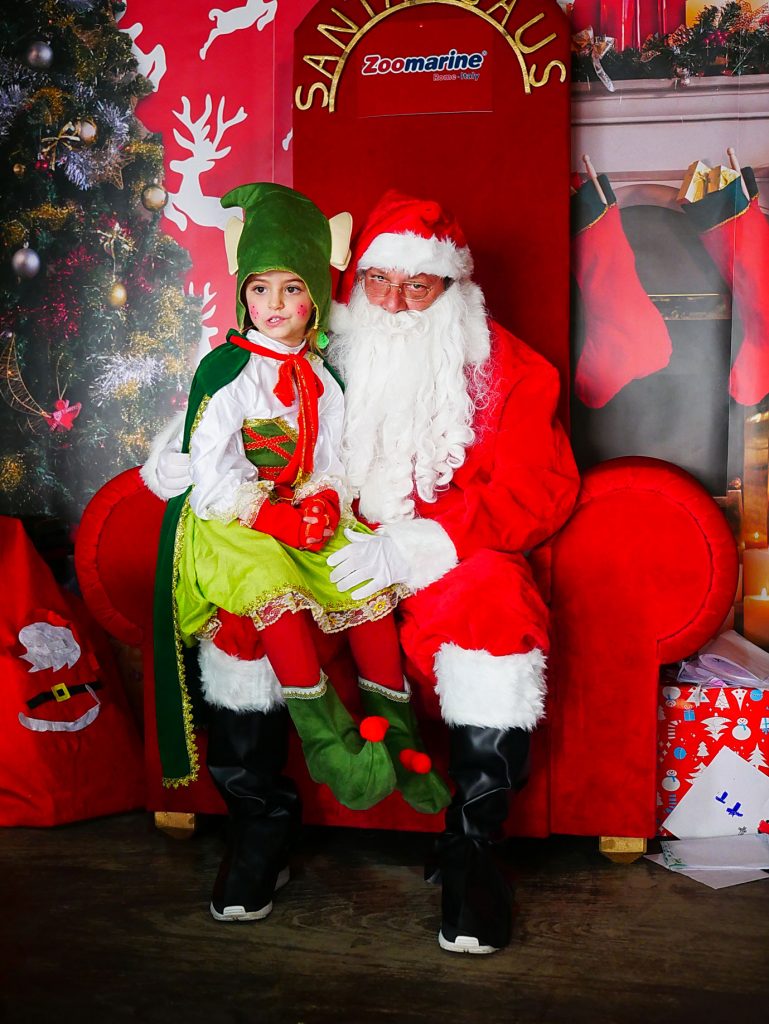 È Natale a Zoomarine, tutti gli eventi in programma