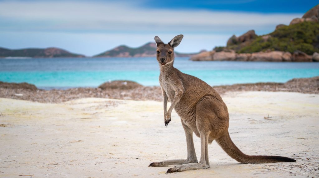 Go Australia in roadshow per gli agenti di viaggi italiani