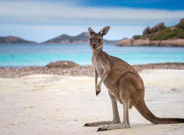 L’Australia riapre (ma non troppo) i confini