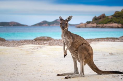 Go Australia in roadshow per gli agenti di viaggi italiani