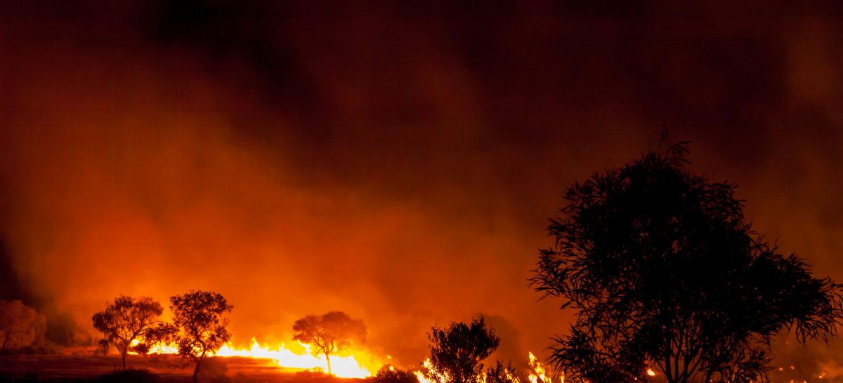 Incendi in Australia, chiuso l’aeroporto di Canberra