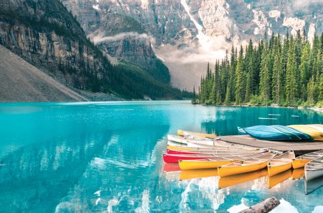 Canada outdoor tra orsi e cascate: le esperienze da non perdere