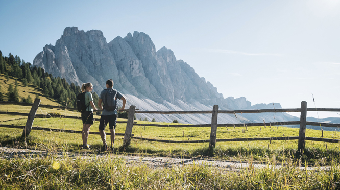 Idm Alto Adige attività