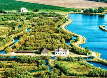 Le meraviglie di Albarella, l’isola green accessibile a tutti