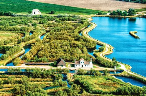 Le meraviglie di Albarella, l’isola green accessibile a tutti