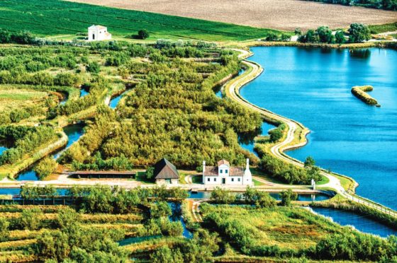 Le meraviglie di Albarella, l’isola green accessibile a tutti