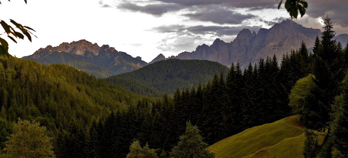 I viaggi digitali d’autore del Friuli Venezia Giulia