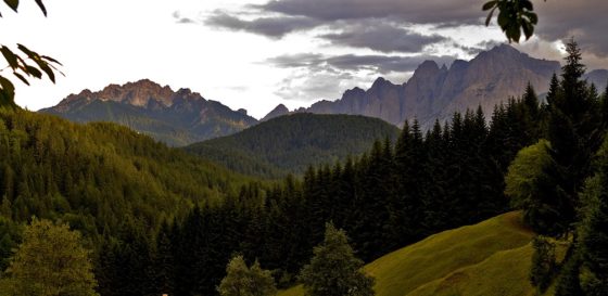 I viaggi digitali d’autore del Friuli Venezia Giulia