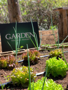 Garden toscana Resort orto