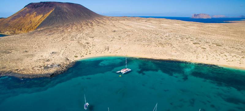 Canarie