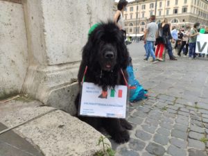 manifestazione agenti di viaggi Roma 4 giugno cane mascotte