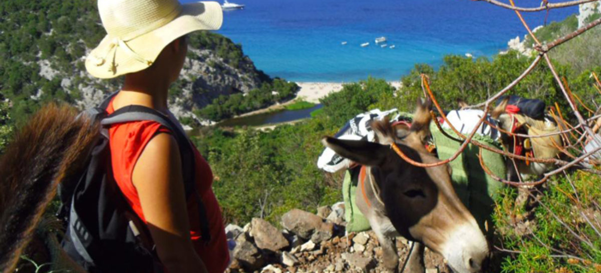 Portale Sardegna, 5 esperienze inedite dai Sardinia Local Expert