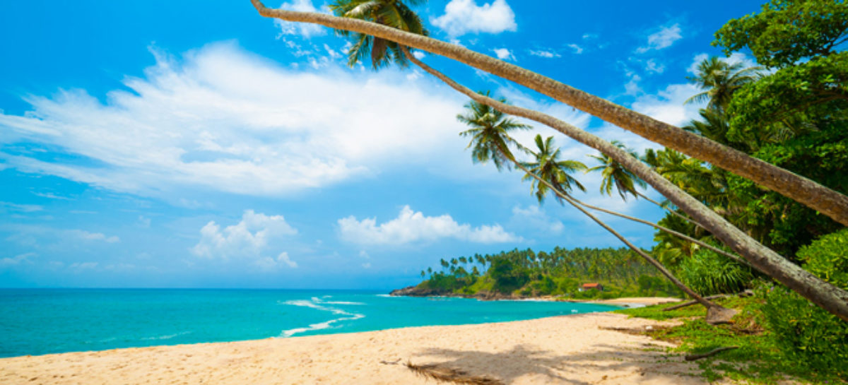 Lo Sri Lanka riapre ai viaggiatori internazionali