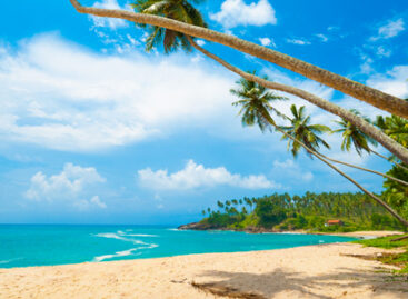 Lo Sri Lanka riapre ai viaggiatori internazionali