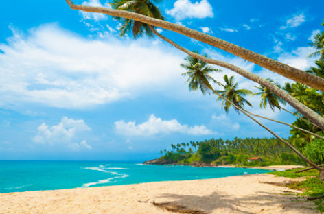 Lo Sri Lanka riapre ai viaggiatori internazionali