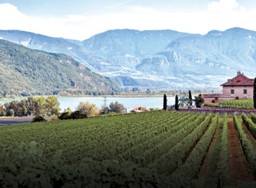 L’Alto Adige più chic a Caldaro tra vigneti e hotel di design