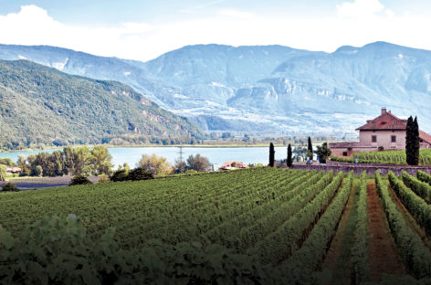 L’Alto Adige più chic a Caldaro tra vigneti e hotel di design