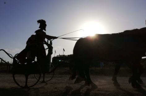 Alla scoperta di Roma World tra bighe, gladiatori e rapaci