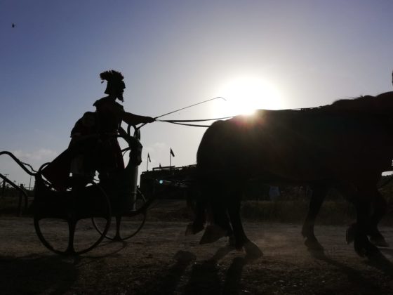 Alla scoperta di Roma World tra bighe, gladiatori e rapaci