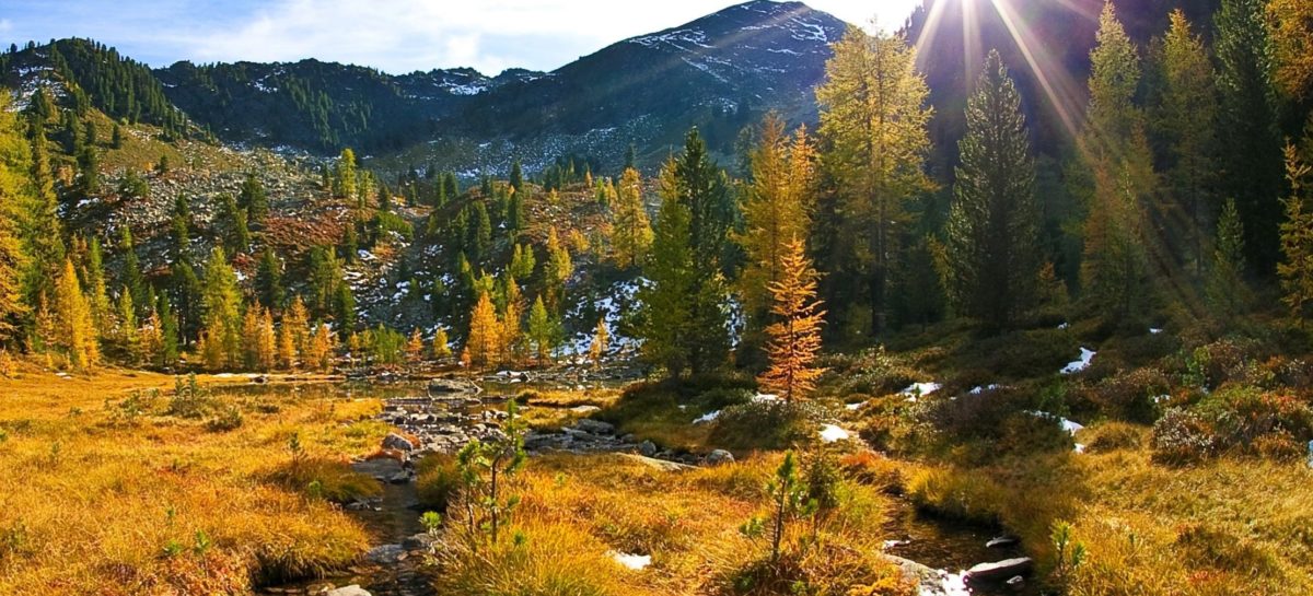 Alto Adige, la proposta autunnale tra foliage e tradizioni