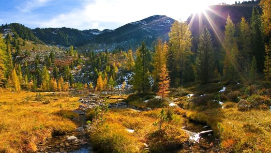 Alto Adige, la proposta autunnale tra foliage e tradizioni