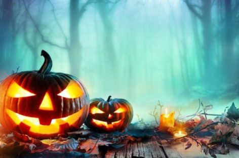 Zoomarine, un mese di eventi per festeggiare Halloween