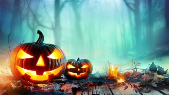Zoomarine, un mese di eventi per festeggiare Halloween